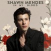 Shawn Mendes - In My Blood www.my-free-mp3.net 
