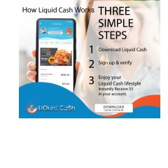 Liquid Cash How it Works 300X250