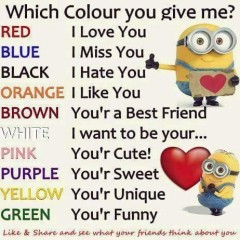 FB_IMG_1542479182889