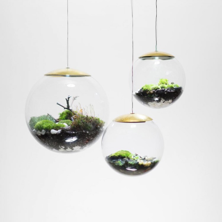 Globe  Suspended Terrarium