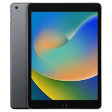 Apple iPad 9th Gen 256GB 