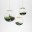 _Globe  Suspended Terrarium