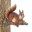 _LOUNGING SQUIRREL TREE DECOR image