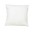 _SUMMER SPLASH THROW PILLOW image
